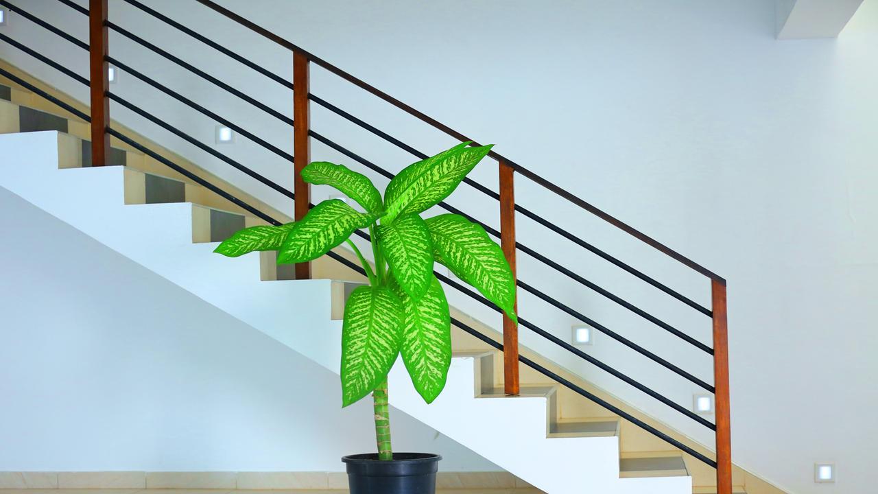 Twenty Two Binaweli Hotel Weligama Exterior photo